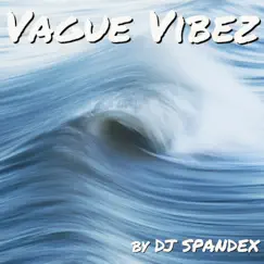 Vague Vibez - Single by DJ Spandex album reviews, ratings, credits