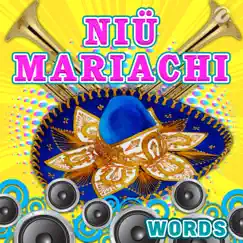 Words - Single by Niu Mariachi album reviews, ratings, credits