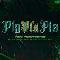 Pla Pla Pla Song Lyrics