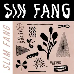 Slim Fang (2015 - 2020) by Sin Fang album reviews, ratings, credits