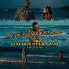 Cogidos de la Mano - Single album lyrics, reviews, download