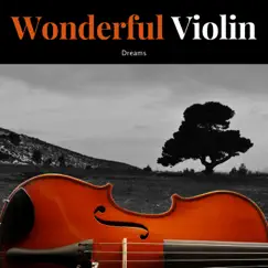 Wonderful Violin by Peaceful Violin album reviews, ratings, credits