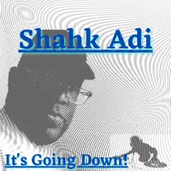 It's Going Down! (feat. Capital Kings) - Single by Shahk Adi album reviews, ratings, credits