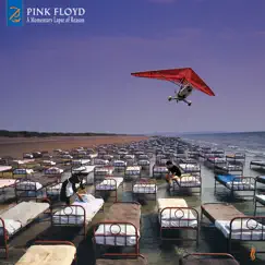 A Momentary Lapse of Reason (2019 Remix) by Pink Floyd album reviews, ratings, credits