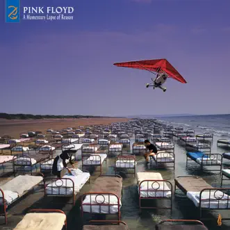 A Momentary Lapse of Reason (2019 Remix) by Pink Floyd album download