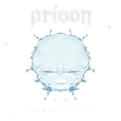 Reality - Single by Prison album reviews, ratings, credits