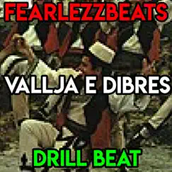 Vallja E Dibres Drill - Single by FearlezzBeats album reviews, ratings, credits
