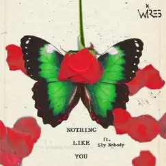 Nothing Like You (feat. Sly Nobody) Song Lyrics