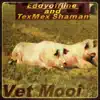 Vet Mooi - Single album lyrics, reviews, download