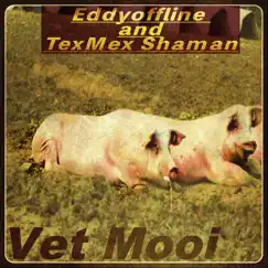 Vet Mooi - Single by TexMex Shaman & Eddyoffline album reviews, ratings, credits