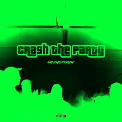 Crash the Party Song Lyrics