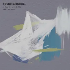 If You, If I (with. DORI) - Single by SOUND SURGEON album reviews, ratings, credits