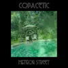Copacetic album lyrics, reviews, download