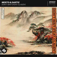 Don't Wait (feat. Claudy) - Single by Mesto & Dastic album reviews, ratings, credits
