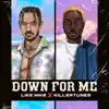 Down for Me (feat. Killertunes) - Single album lyrics, reviews, download