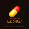 Molly (Parari Remix) [feat. Max El Perro] - Single album lyrics, reviews, download
