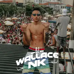 Combinação Da Putaria (feat. Mc Negaly, Mc GW & MC Kalzin) - Single by DJ Wallace NK album reviews, ratings, credits