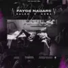 Fayde Nadare - Single album lyrics, reviews, download