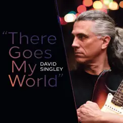 There Goes My World - Single by David Singley album reviews, ratings, credits