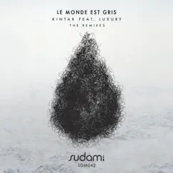 Le Monde Est Gris - Single by KINTAR album reviews, ratings, credits