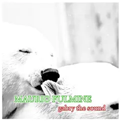 Mauriofulmine - Single by Gabry the Sound album reviews, ratings, credits