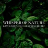 Whisper of Nature - Easy Listening for Stress Relief album lyrics, reviews, download
