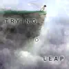 Trying to Leap - Single album lyrics, reviews, download