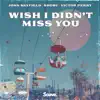 Wish I Didn't Miss You - Single album lyrics, reviews, download