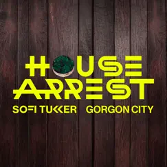 House Arrest Song Lyrics