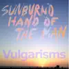 Vulgarisms album lyrics, reviews, download