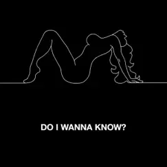 Do I Wanna Know? - Single by Arctic Monkeys album reviews, ratings, credits
