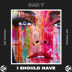 I Should Have - Single by Dan T album reviews, ratings, credits