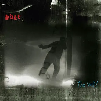 The Veil by Nels Cline, Tim Berne & Jim Black album download