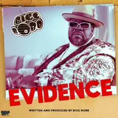Evidence - Single by Bigg Robb album reviews, ratings, credits