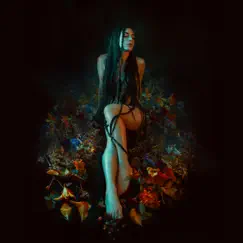 Bloom - Single by Roniit album reviews, ratings, credits