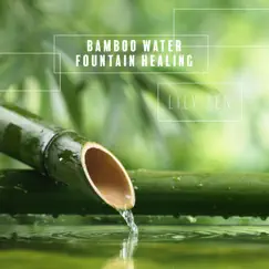 Bamboo Water Fountain Healing: BGM for Relaxation & Meditation by Lily Zen album reviews, ratings, credits