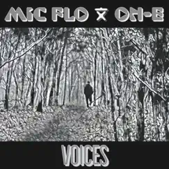 Voices - Single by Mic Flo album reviews, ratings, credits