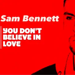 You Don't Believe in Love (Shaun Dean Remix) Song Lyrics