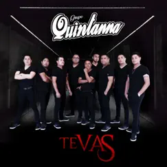 Te Vas - Single by Grupo Quintanna album reviews, ratings, credits