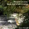 Blessed Are You, Lord, God of All Creation (feat. Tom Orr) - Single album lyrics, reviews, download