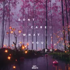 Don't Care What You Do - Single by Catas & Alyssa Robi album reviews, ratings, credits