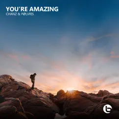 You're Amazing Song Lyrics