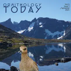Ornithology Today Vol.2 Issue 1. - EP by Sternklang album reviews, ratings, credits