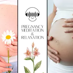 Pregnancy Meditation & Relaxation Music (Guitar, Nature Sounds, Violin and Sea) by Meditway album reviews, ratings, credits