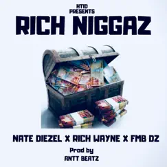 Rich N****z - Single by Nate Diezel, Rich Wayne & Fmb Dz album reviews, ratings, credits