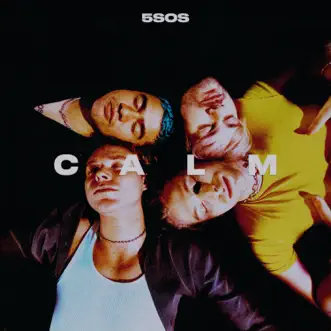 Download Lover of Mine 5 Seconds of Summer MP3