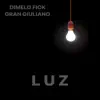 Luz (feat. Gran Giuliano) - Single album lyrics, reviews, download