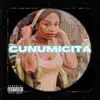 CUNUMICITA (Freestyle) - Single album lyrics, reviews, download