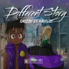 Different Story (feat. Drizzy) - Single album lyrics, reviews, download