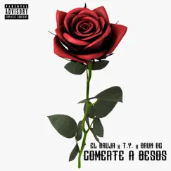 Comerte a Besos (feat. Tony Money & Young Miky T.Y.) Song Lyrics